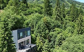 Forest Hub